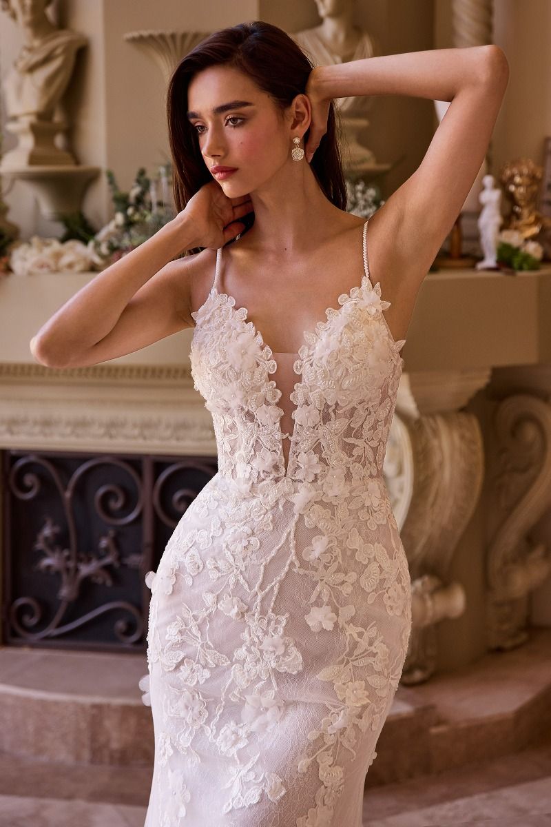 low cut lace wedding dress Wedtrend Women Ivory Apricot Bridal Dress A Line V-Neck Long Lace Wedding Dress With Short Sleeves, Ivory+Apricot / US10