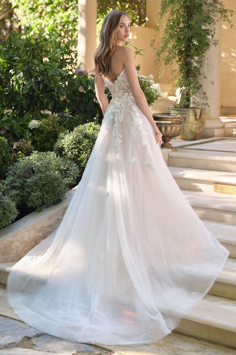 Lace Wedding Ball Gown
