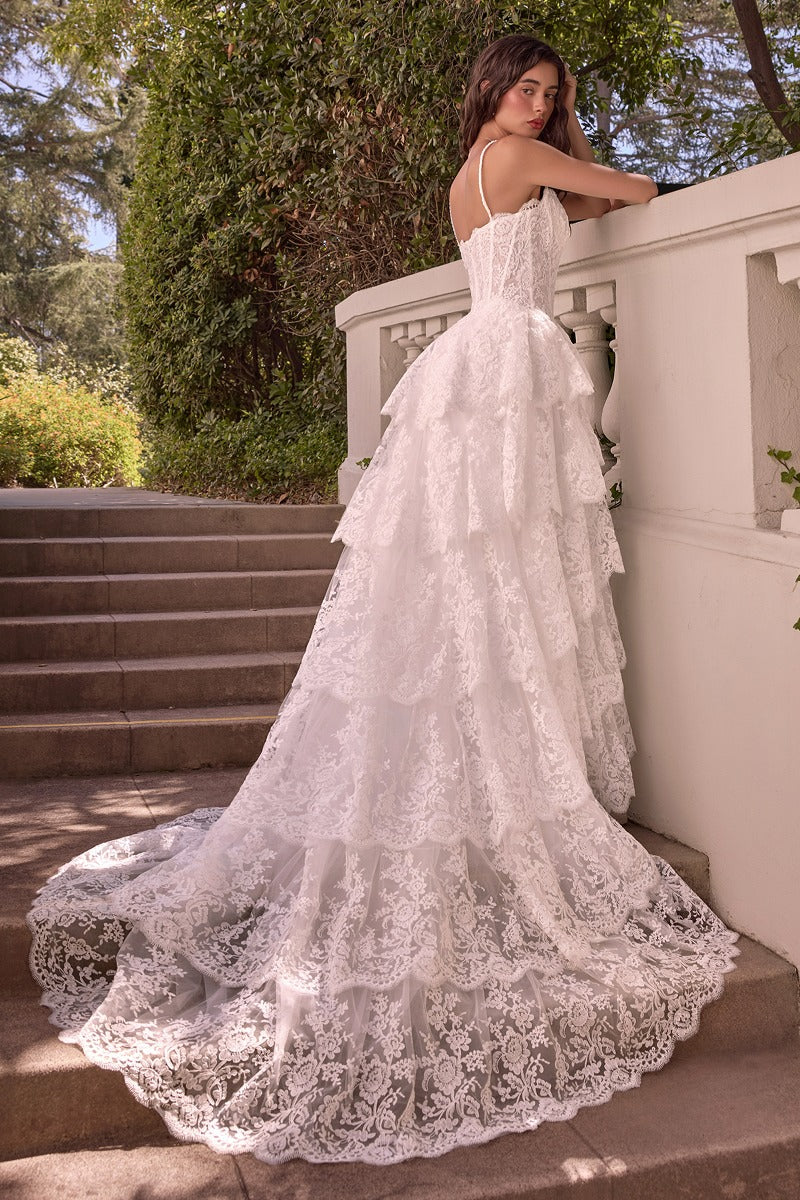 Layered Scallop Lace Ball Gown