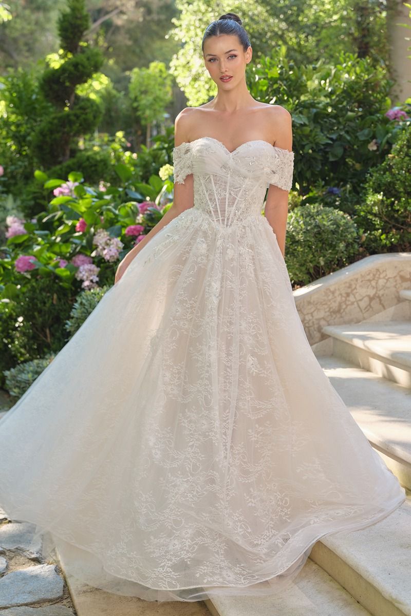 Wedding Ball Gown Illusion Bodice Adorned With Cascading Floral Appliqué