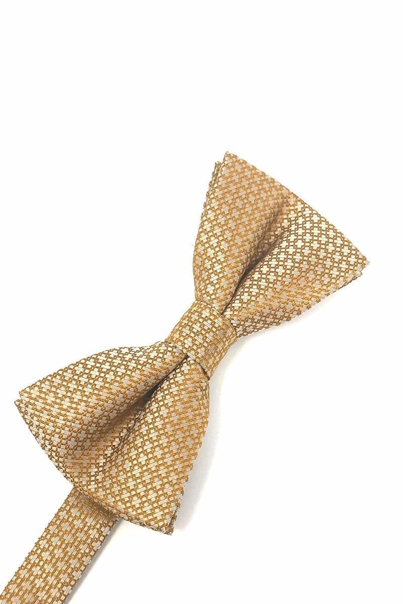 Regal Kids Bow Tie