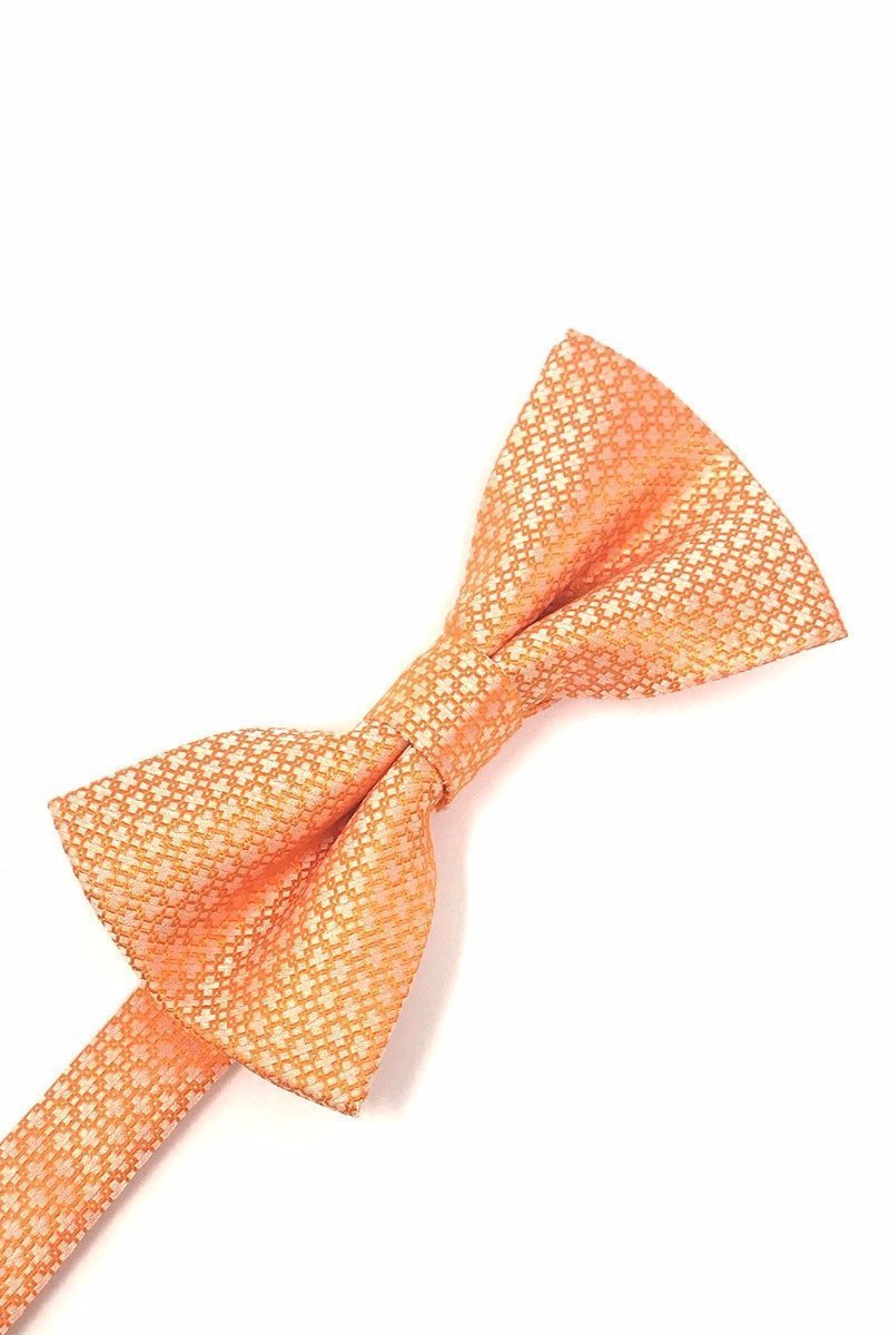 Regal Kids Bow Tie