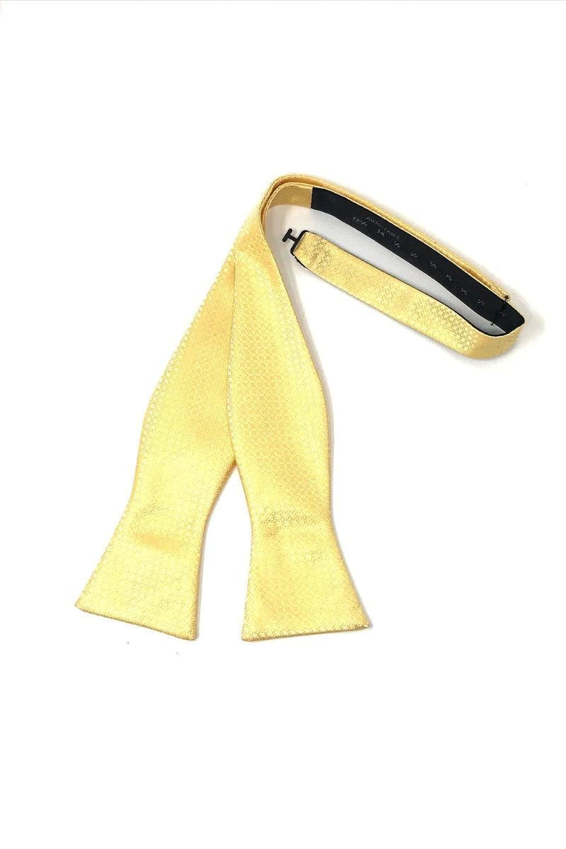 Regal Bow Tie Self Tie